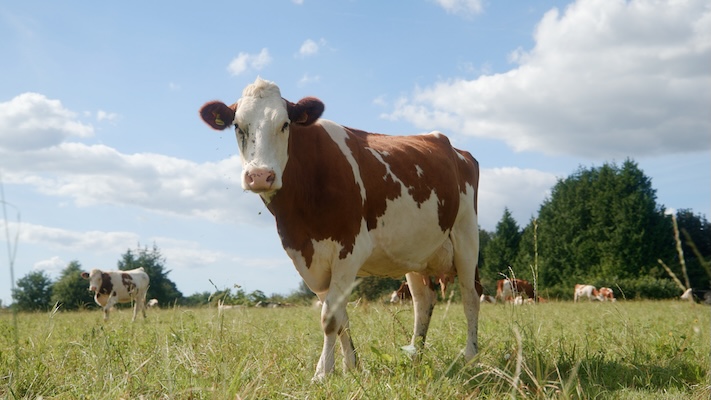 Faire évoluer les pratiques agricoles